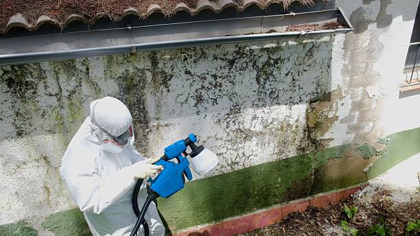 Top rated local Commercial Mold Remediation specialists in Hamburg, PA